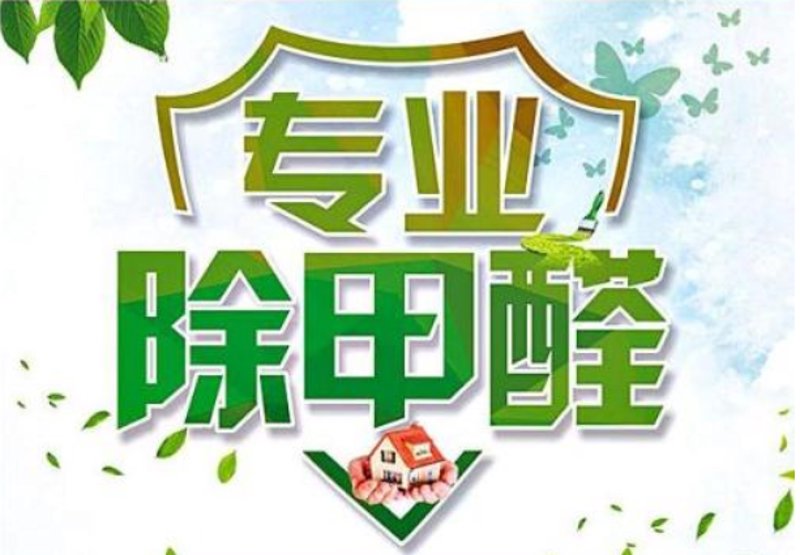 新房除甲醛:打造清新居住环境