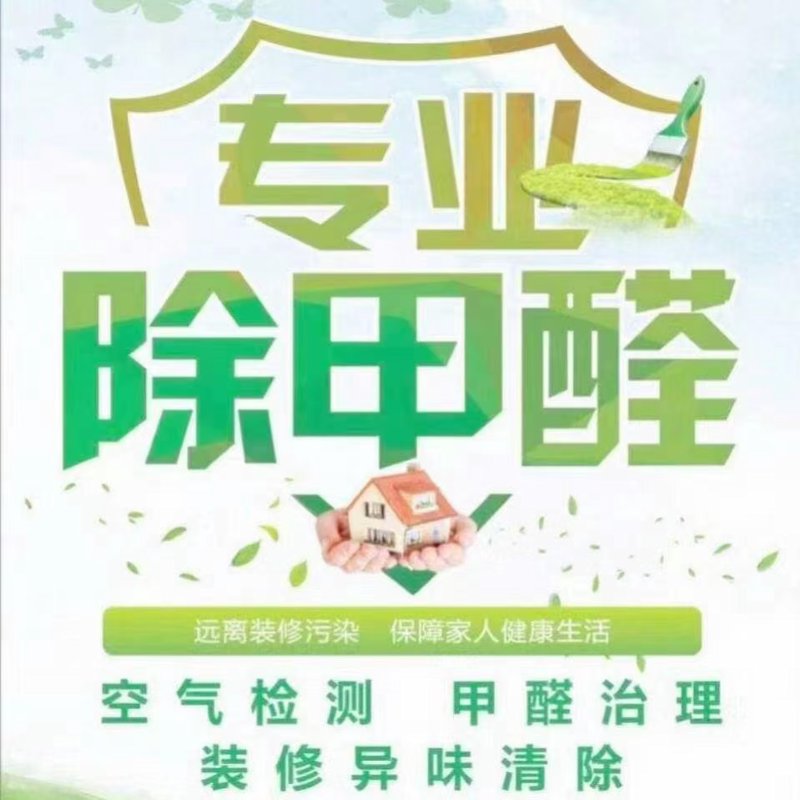 专业除甲醛:守护家庭与健康的绿色长城